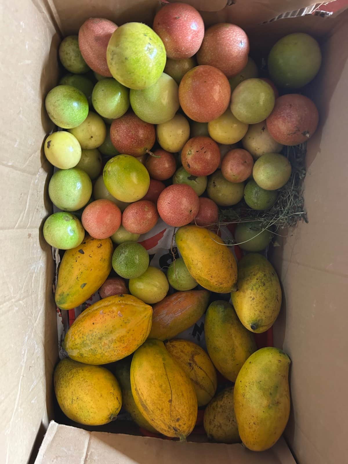 Organic fruits