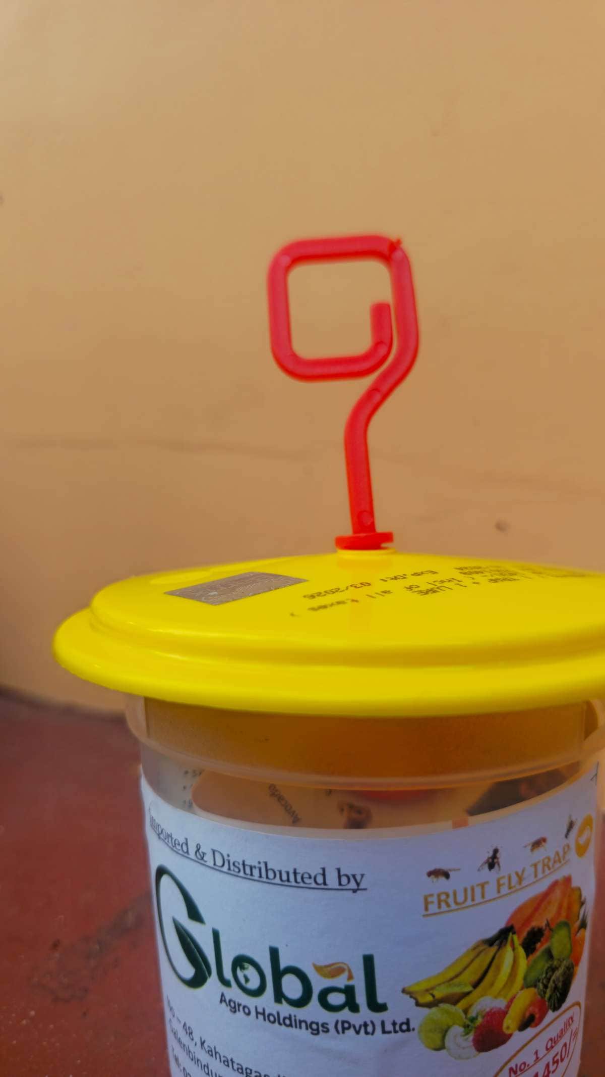 பழ ஈ பொறி (Fruit fly trap)