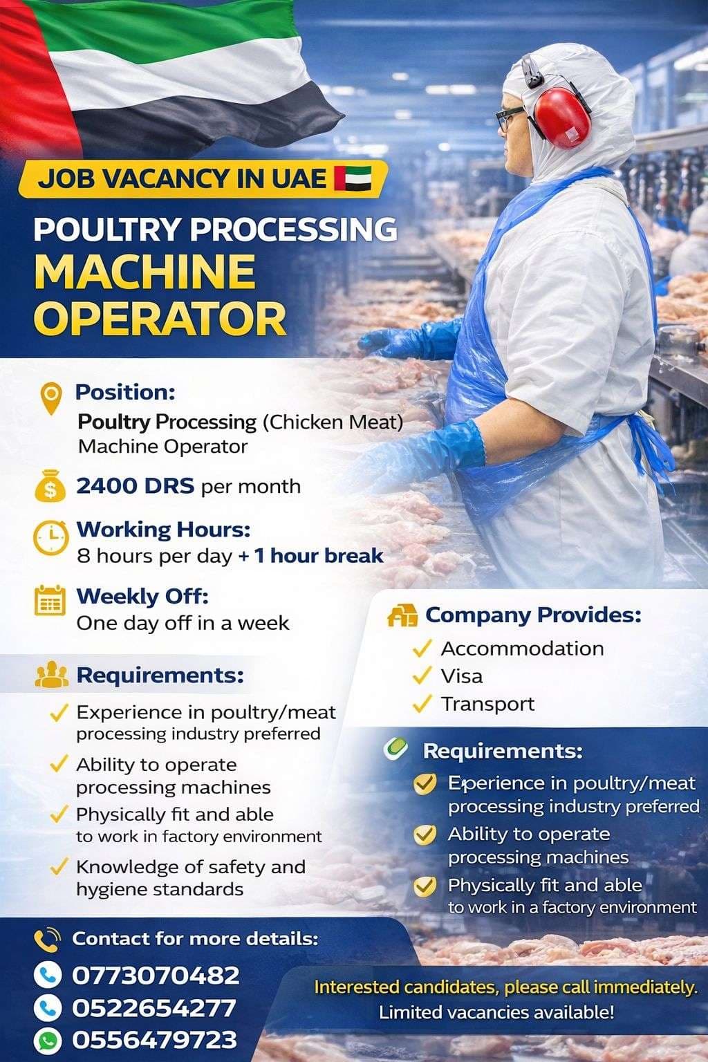Dubai Job
