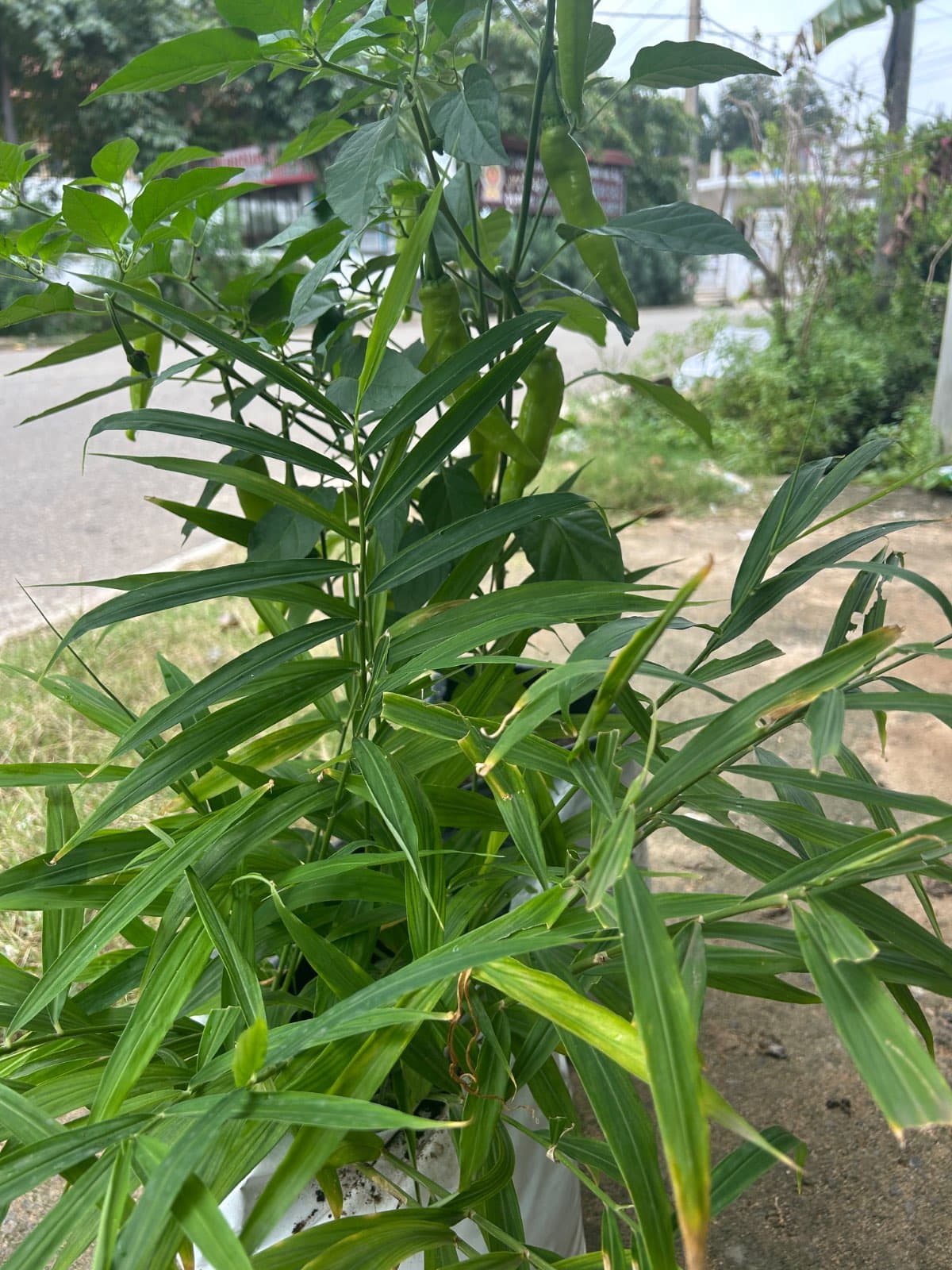 காணி விற்பனைக்கு call 0773070482